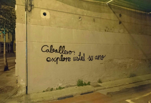 Consejo Para Caballeros