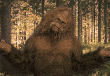 Mueren Dos Hombres Buscando A Bigfoot En Las Montanas De Washington