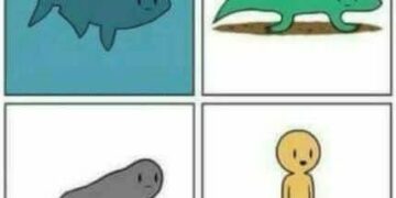 Organismos Complejos