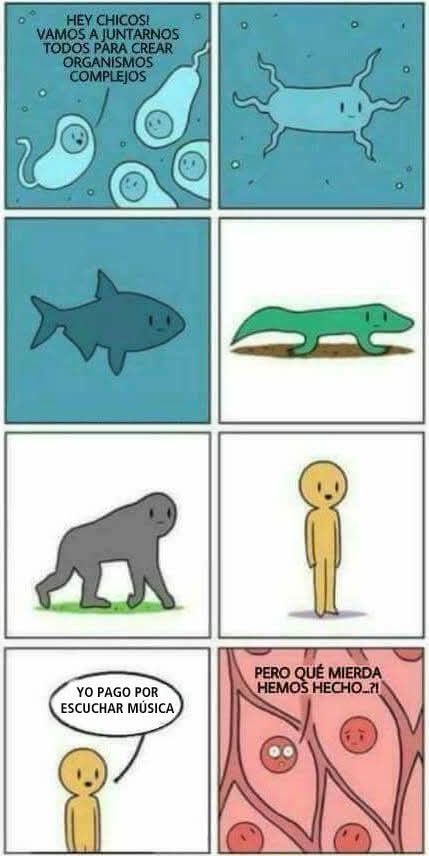 Organismos Complejos