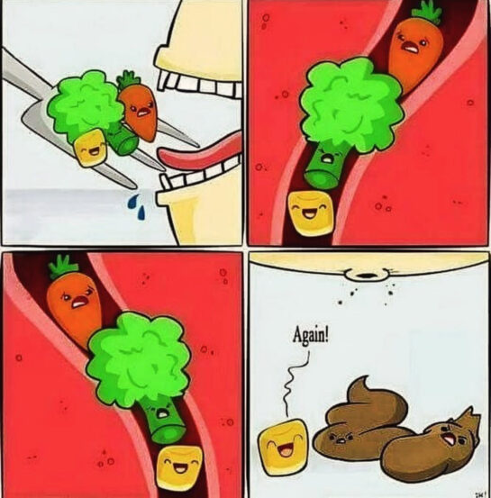 Pinchi elotito!! 7 Pinchi Elotito