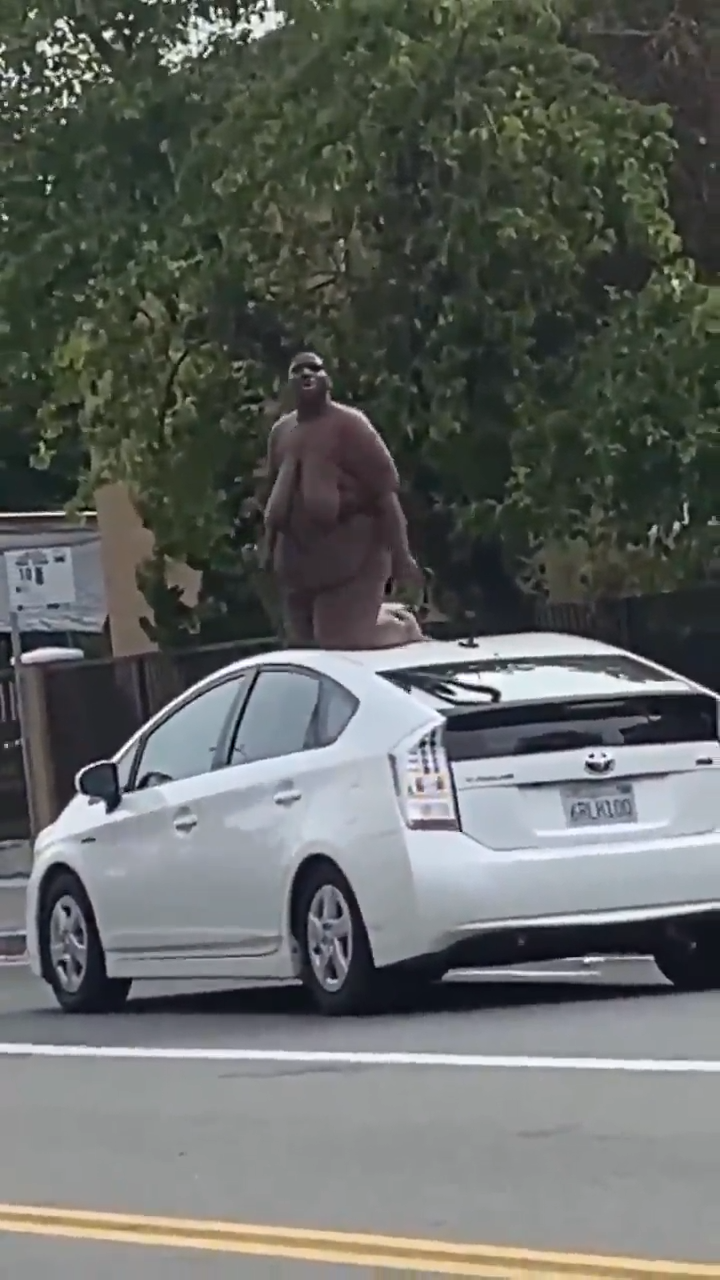 Gringolandia Es Un Psiquiatrico A Puertas Abiertas