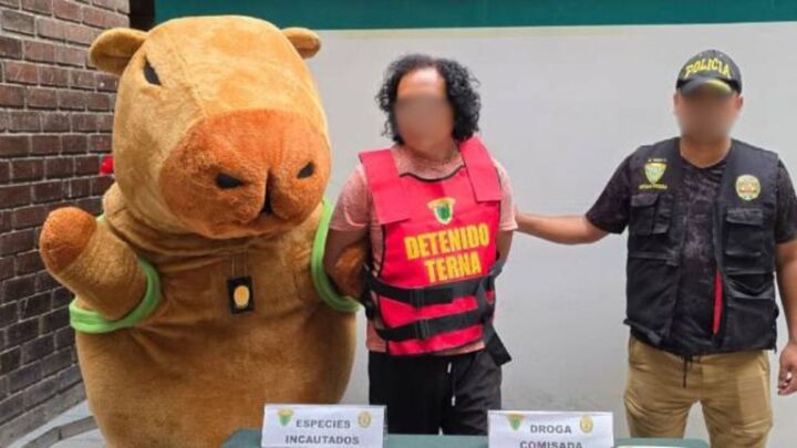 La policía peruana se disfraza de capibara para completar con éxito un operativo antidroga. 3 La policía peruana se disfraza de capibara para completar con éxito un operativo antidroga