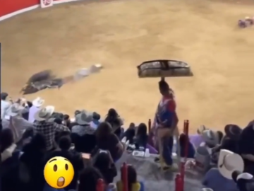 La Version Mexicana De El Juego Del Calamar