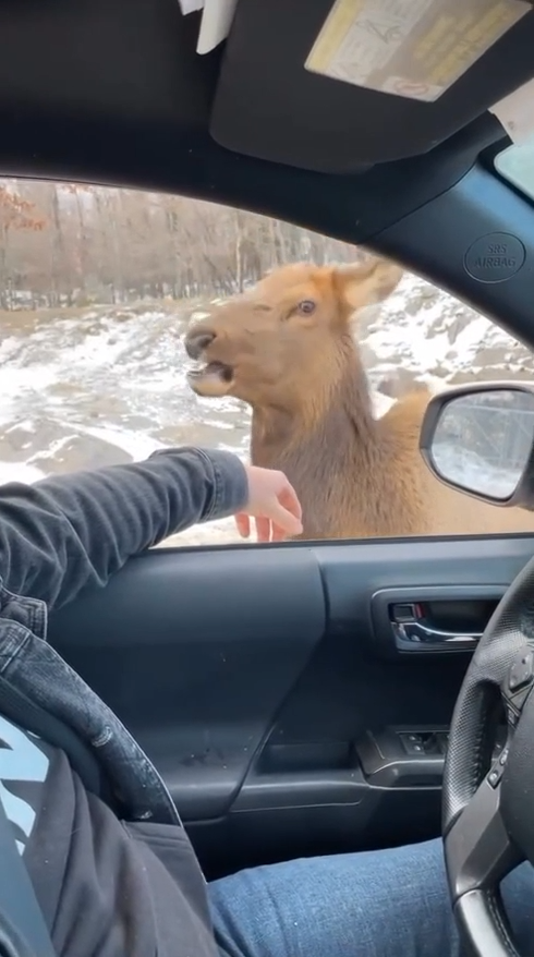 Me Recordo A Tu Hermana