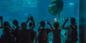 Medida Desesperada Con Humanos De Carton Para Devolver La Felicidad A Un Gigantesco Pez De Acuario