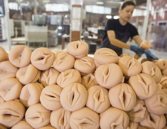 Condenan A Dos Directivos De Una Empresa De Juguetes Eroticos Por Quedarse 7400 Vaginas Artificiales Para Uso Personal