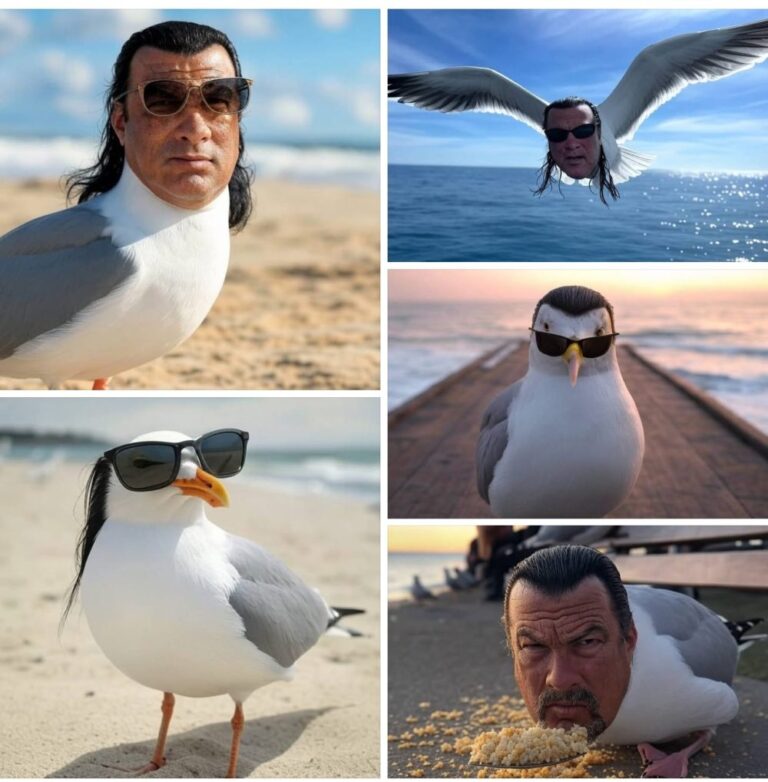 El Post Importante Del Dia Steven Seagull