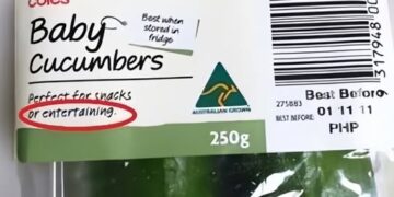 Perfectos Para Snacks O Entretenimiento