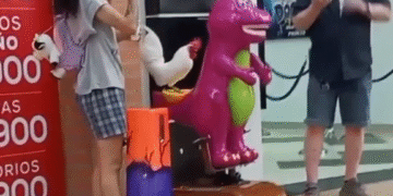 Este Gallo Tuvo Mejor Infancia Que Yo