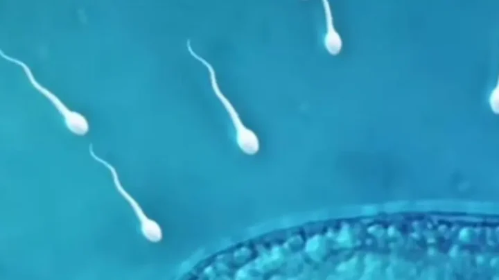 La primera carrera de espermatozoides de la historia se celebrará en Los Ángeles.. 3 la primera carrera de espermatozoides de la historia se celebrara en los angeles