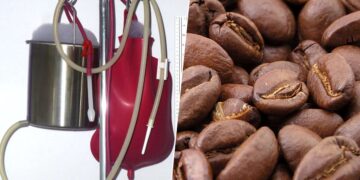 Meterse Cafe Por El Culo No Es Buena Idea Segun La Ciencia