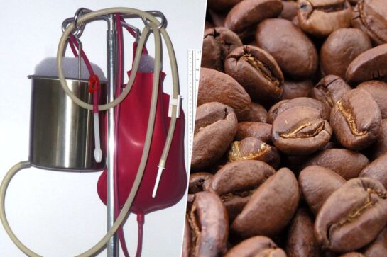 Meterse café por el culo no es buena idea, según la ciencia. 57 Meterse Cafe Por El Culo No Es Buena Idea Segun La Ciencia