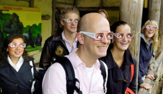 ¿sabias Que Existen Unos Lentes Disenados Para Evitar El Contacto Visual Con Los Gorilas