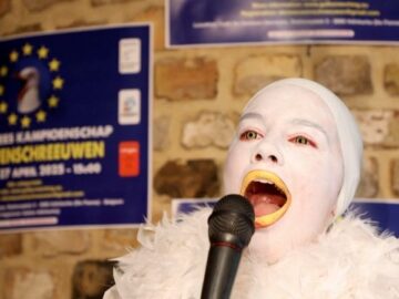 Asi Es El Campeonato Europeo De Imitar Gaviotas