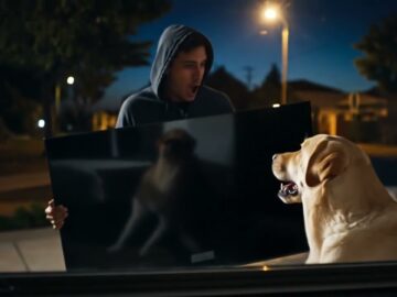 Ojala Encuentre Un Buen Tecnico A Esa Hora Chistes Humor Perro Googleveo3