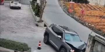 Parece Que Le Ha Dado Justo Asterisco