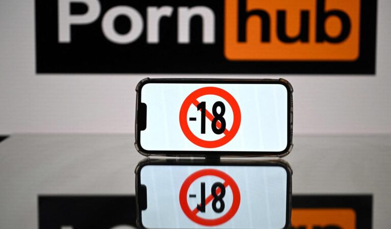 'Pornhub', 'Youporn' y 'Redtube' bloquean el acceso de los usuarios en Francia en protesta por las exigencias legales de verificación de edad.