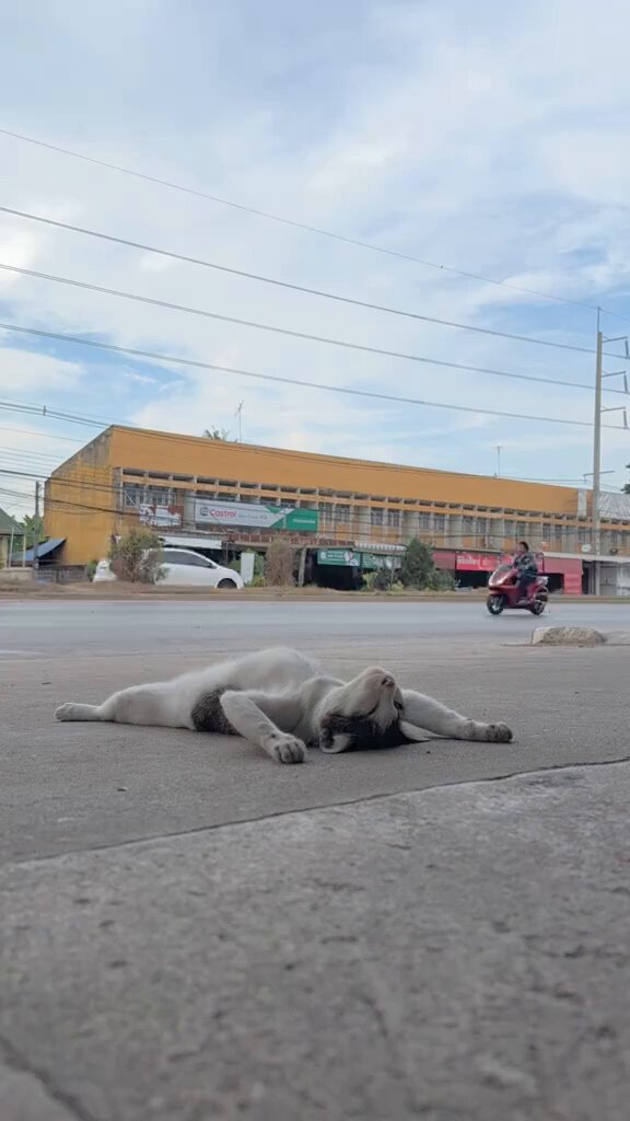 Una Vida Bien Vivida