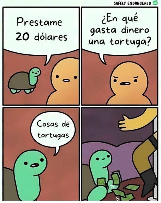 Cosas de tortugas ¬_¬ 7 Cosas De Tortugas ¬ ¬