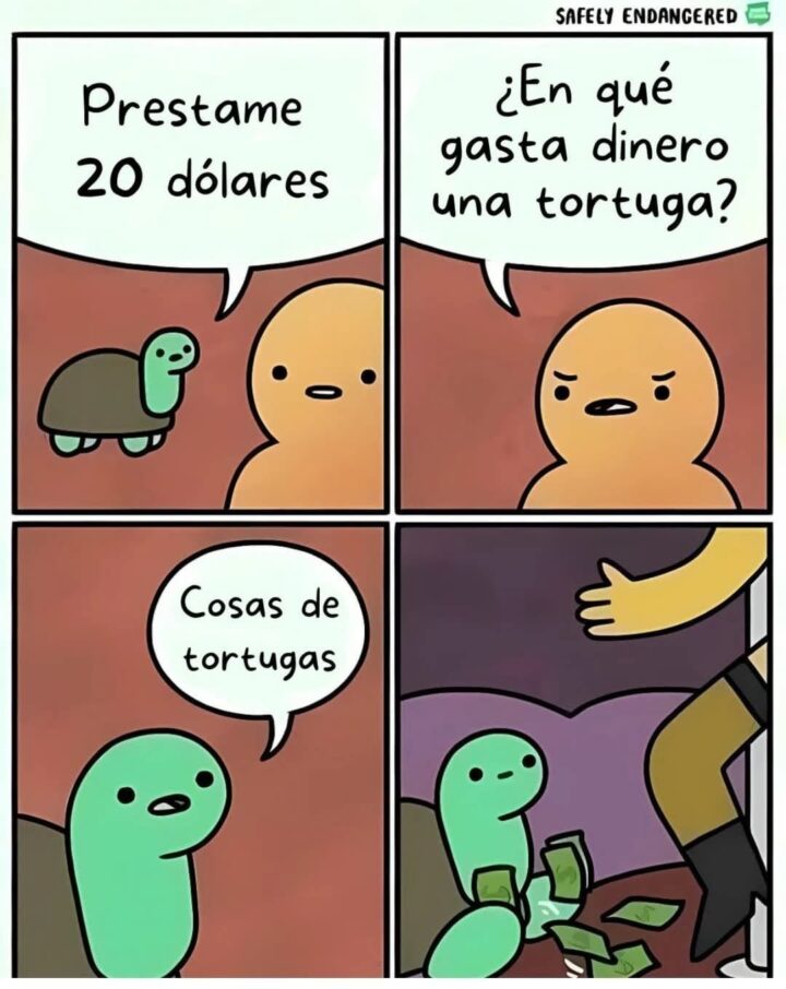 cosas de tortugas ¬ ¬