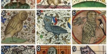 En La Escala De Buhos Medievales ¿como Te Sientes Hoy