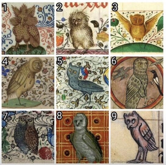 En la escala de búhos medievales, ¿cómo te sientes hoy? 3 En La Escala De Buhos Medievales ¿como Te Sientes Hoy