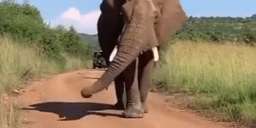 Hoy Sera Un Dia Hermoso