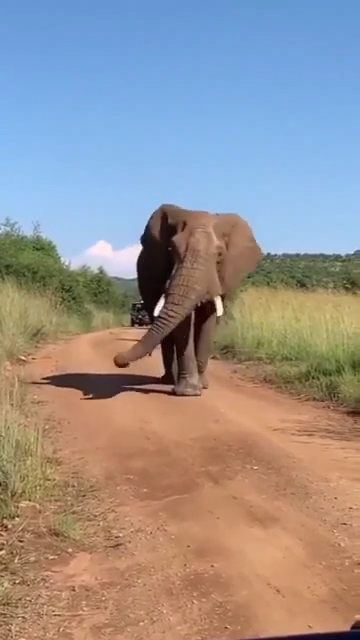 Hoy Sera Un Dia Hermoso