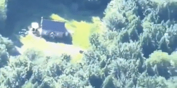 Manana Mismo Me Iria A Vivir En Esa Cabanita