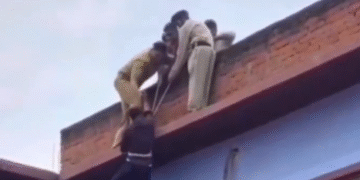 Todo El Apoyo Psicologico Que Necesita