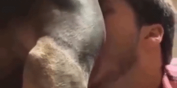 Yo Lo Vi Tu Lo Viste Todos Lo Pensamos