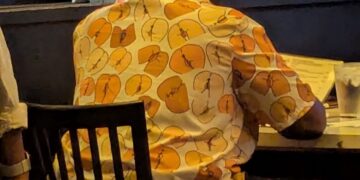 Camisa Perfecta Para Ir De Comida Familiar