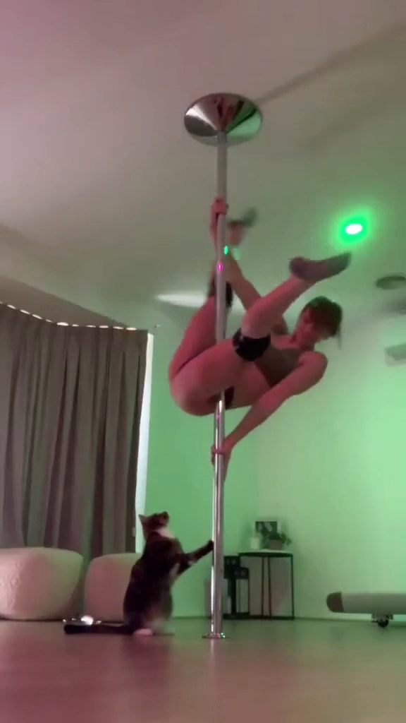 Dame El Pescado Que Traes Ahi Karen