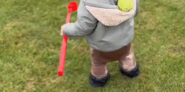 El Primer Pancho Bobo De Su Vida