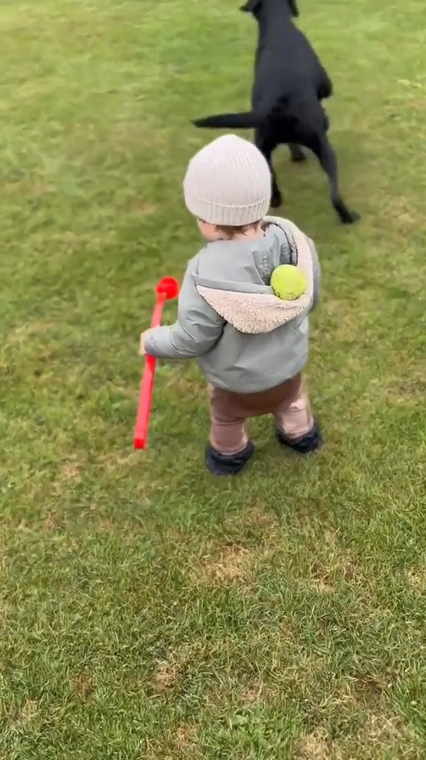 El Primer Pancho Bobo De Su Vida