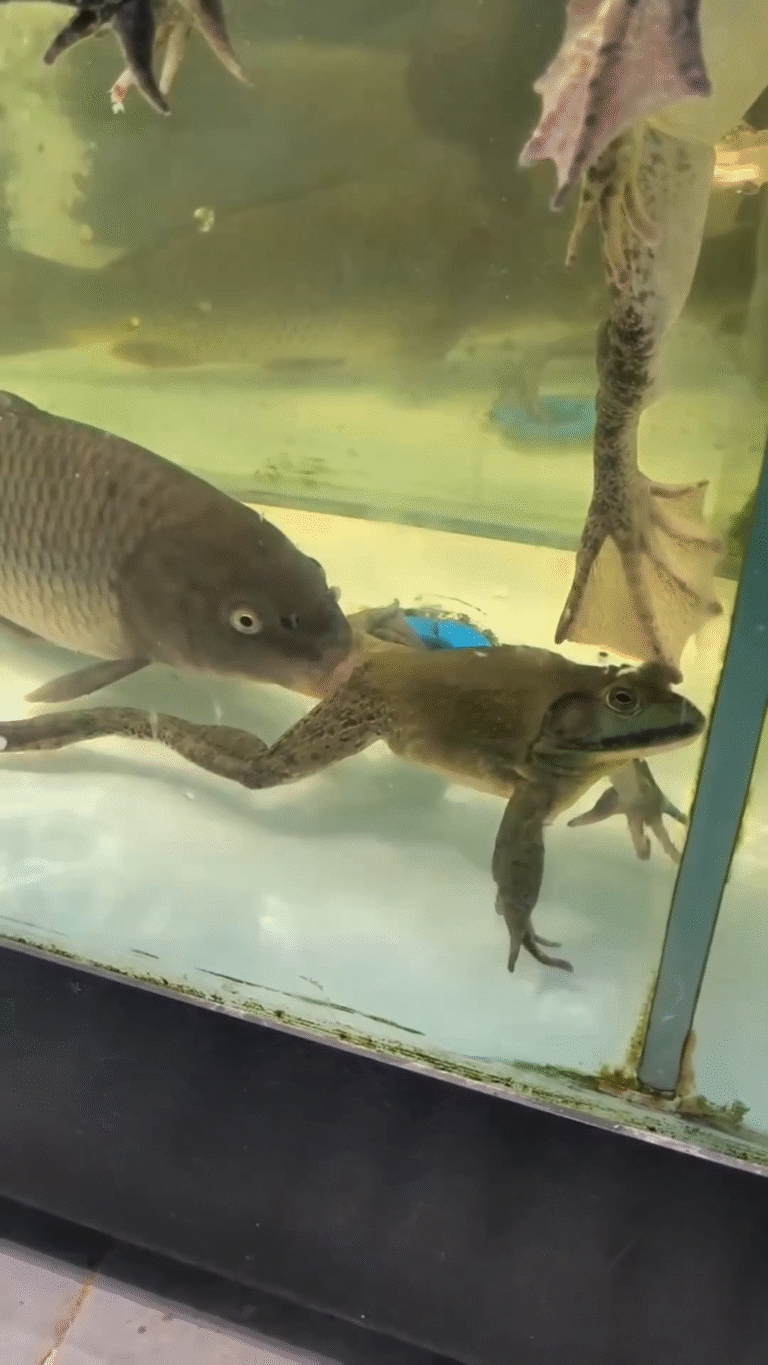 La Naturaleza Es Hermosa