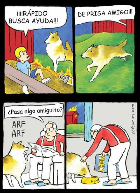 las aventuras de lassie