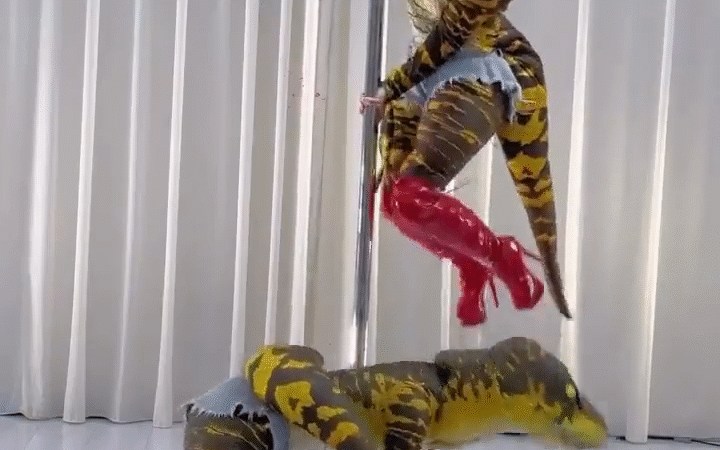 Pinchis reptilianos estan entre nosotros...