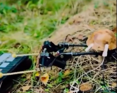 El post importante del día. 1 Screenshot 1 2