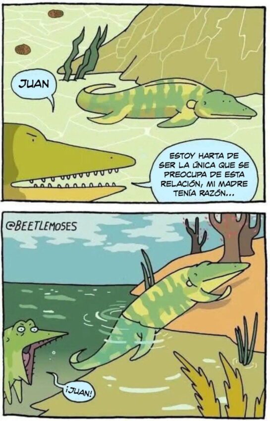 rfwdcerthyetyh 768x11961 1