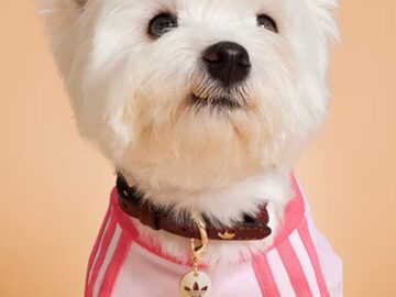 tumblr 0a384bbbccdb9c8f331b422d0f65b85e 0e11f8a1 1280