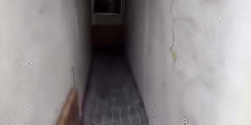 Captura de pantalla 2025 11 26 230750