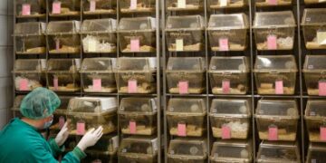 iStock 471651747 696x464 1