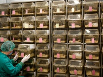 iStock 471651747 696x464 1