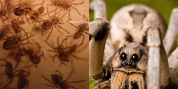 tumblr 1ad3753428c24cdc511594abddefce99 97197f5a 12801