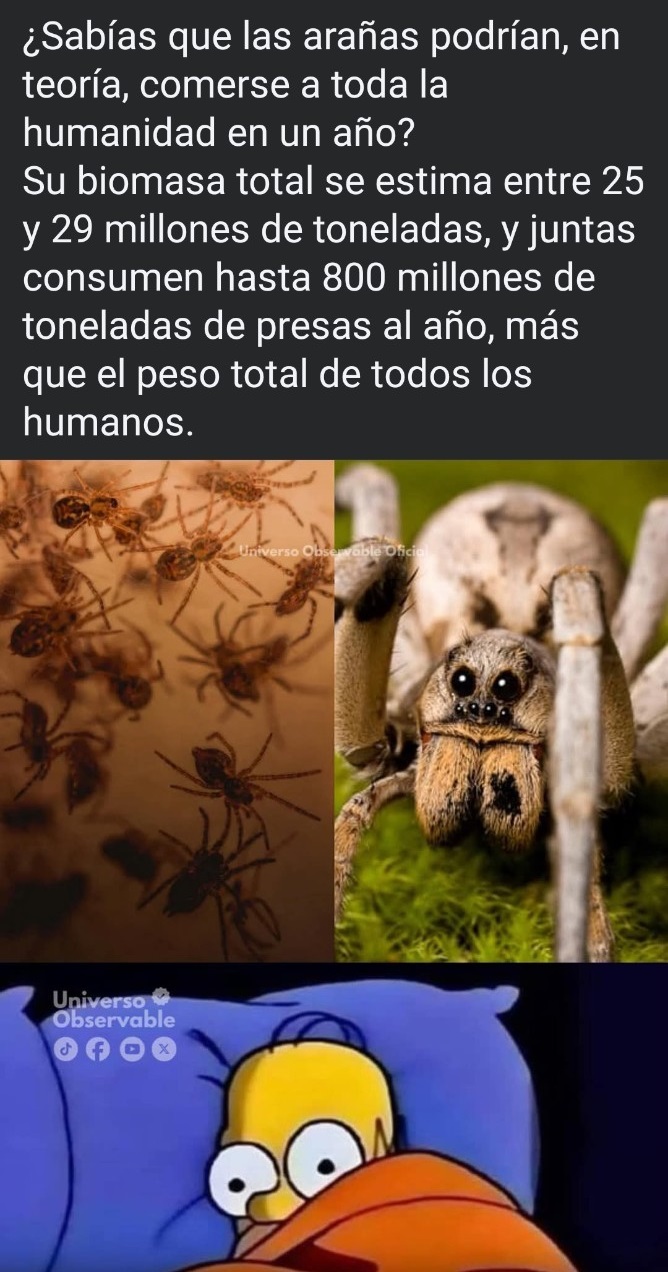 tumblr 1ad3753428c24cdc511594abddefce99 97197f5a 12801