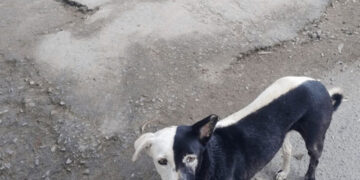 tumblr 8276f344ee1f558815da56149a6fdf1b 6de7c0cd 12801