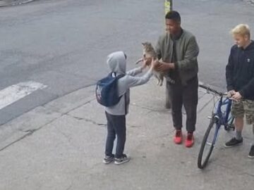 598103911 1289663489868403 2194363485395227072 n