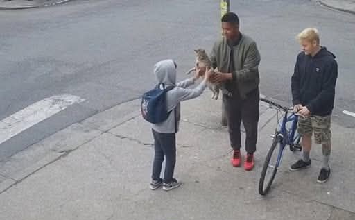 Un niño cambió su bicicleta para salvar a un gato callejero. 3 598103911 1289663489868403 2194363485395227072 n